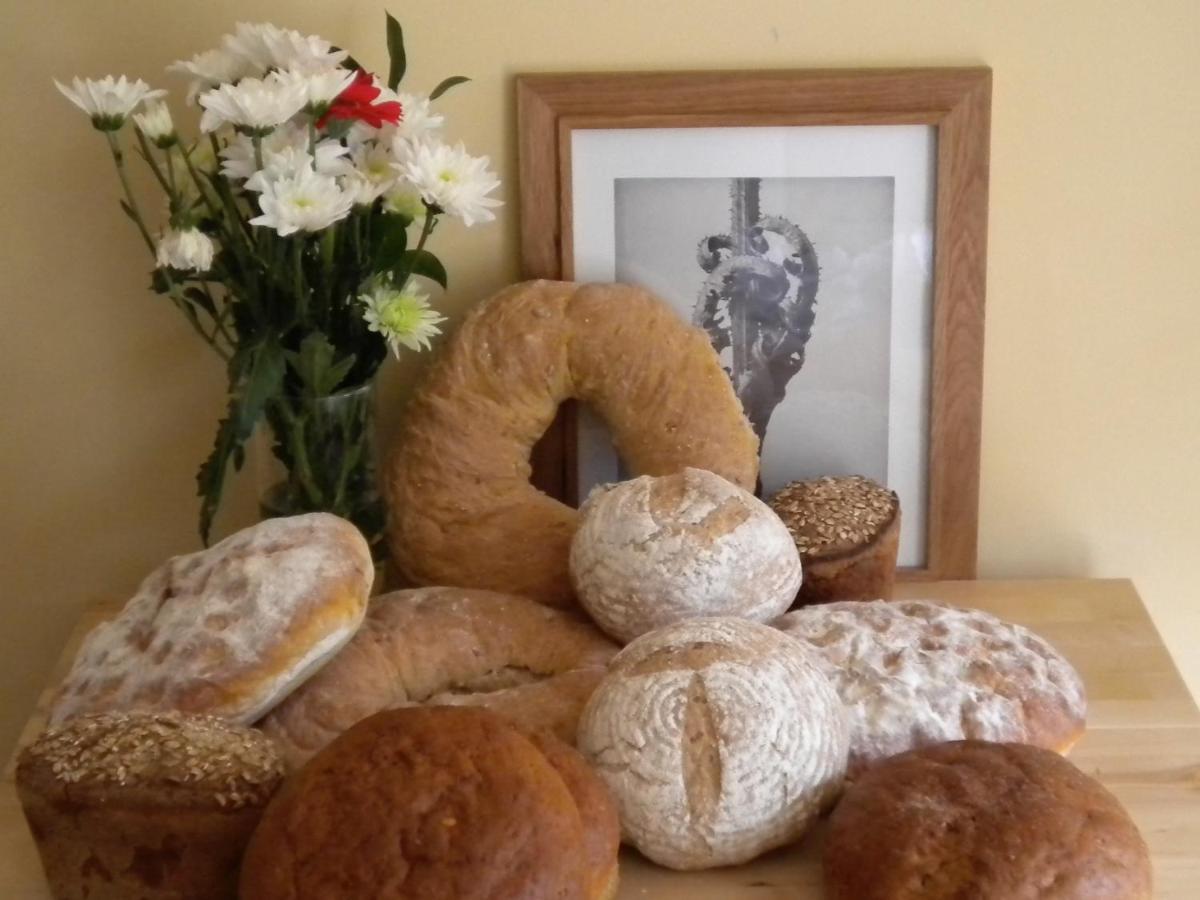 Ancienne Ecole Bed & Breakfast Cazaux-Villecomtal Екстериор снимка